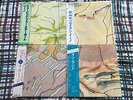 BRIAN ENO AMBIENT 4 Albums LOT( 4LPs) -  Made IN Japan NM WAX  OBI Vinyl LP Budd