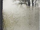 Bon Iver – For Emma, Forever Ago [12'' VINYL] NEW & SEALED