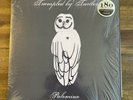 Trampled by Turtles - PALOMINO 12