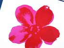 ORIGINAL 1985 ANDY WARHOL FLOWER COVER LOVE PARADE 12 INCH VINYL EX RARE