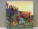 Lucio Battisti - Anima Latina - LP - GATEFOLD - RCA Victor 