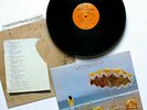 NEIL YOUNG ON THE BEACH 1974 ORIGINAL PRESSING UMBRELLA INTERIOR COVER EX RARE
