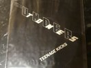 The Undertones 7inch Teenage Kicks Excellent Con