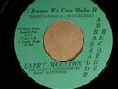 Larry Houston AMBASSADOR 1032 M- 