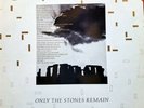 The Soft Boys Two Halves for the Price of One, 1981 Armagedon, Vinyl Lp