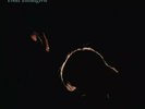 Todd Rundgren - Healing RSD Black Friday 2021 Clear Vinyl Record w/7 In. of 4500