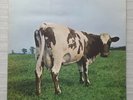 Pink Floyd - Atom Heart Mother. 1970 UK LP prog / psych  VG/VG KP398