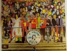 Burning Ambitions - A History Of PUNK - Various  2LP vinyl Album Record     (b6)