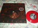 CANNIBAL CORPSE -TORTURE- AWESOME VERY RARE LIMITED PRESS LP VINYL RED + 7