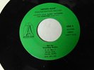 Artists Alive Excerpts From Randy Matthews and Honeytree Concerts Promo 45 RPM