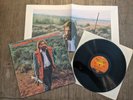 The American Dreamer LP Soundtrack Mediarts Poster Dennis Hopper Gene Clark Folk