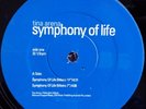 Tina Arena -Symphony Of Life. Promo Aussie 4 Track 12