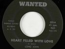 Garage 45 - Long John & the Silvermen - Heart Filled With Love - Wanted - mp3
