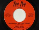 Garage 45 - Speedy & The Alka-Seltzers - I Wonder - Tee Pee - VG+ mp3