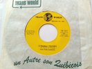CANADA  THE PARLIAMENTS Testify /I Can Feel The Ice Melting 1969 Trans-World 45