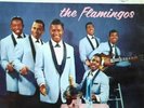 EP-Singleschallplatte THE FLAMINGOS 