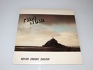 Film Noir Never Ending Dream Wipe Out  Records 003 LP Vinyl 1986 Post Punk RARE