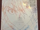 Neon Genesis Evangelion Hikaru Utada One Last Kiss Newbury White Vinyl In Hand