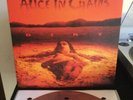 ALICE IN CHAINS DIRT VG+ RED MARBLE VINYL 1/500 RARE MOVLP037