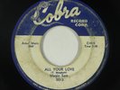 Blues/R&B 45 - Magic Sam - All Your Love - Cobra - mp3