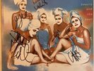 SIGNED / AUTOGRAPHED / Go Go's / Beauty and the Beat PINK Vinyl LP 30th Ann. Ed.