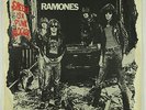 Punk Picture Sleeve Only - Ramones - Sheena Is A Punk Rocker - Sire