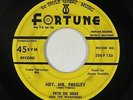Rockabilly 45 - Pete De Bree & the Wanderers - Hey, Mr. Presley - Fortune - mp3