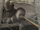 The Flaming Lips Dark Side Of The Moon Vinyl And CD