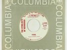 Garage Psych 45 - Sting-Rays Of Newburgh - Fool - Columbia - mp3