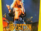 LED ZEPPELIN RARE TEDDY Teady BEAR's PICNIC ALBUM USED ALBUM Light Gold Vinyl
