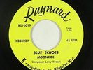 Garage Surf 45 - Blue Echoes - Moonride - Raynard - mp3
