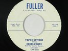 Rockabilly 45 - Herold White - You're Not Mine - Fuller - mp3 - rare