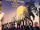 Into The Woods Original Cast Recording / Vinyl LP / Gatefold with Libretto