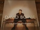 David Bowie The Buddha of 2 LP 180g Vinyl aus der Brilliant Adventure Box 2021