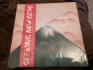 GRUFF RHYS Seeking New Gods DINKED Edition Vinyl Signed Print Flexi SEALED