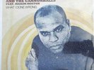 BIG LEE DOWELL & CANNONBALLS - What I Done Wrong - 12 MODERN SOUL RARE SWEET
