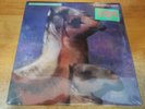 The Roches: We Three Kings, 21 tracks, Sealed 12 in LP Record