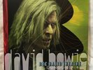 David Bowie BBC Radio Theatre, London June 2000 3LP Vinyl Record from Box Set
