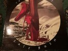Kate Bush - The Red Shoes - Vinyl LP UK 1st Press 1993 .