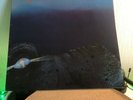 Light of Darkness -Same-, Krautrock, Original, Philips record 1971