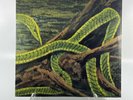 Rainforest Spiritual Enslavement - Green Graves Vinyl Record Cyan Color Variant