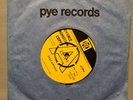 THE ORANGE SEAWEED - Stay Awhile  7