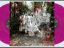 LA DISPUTE Wildlife 2LP on PURPLE VINYL New SEALED Gatefold