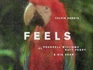 Harris Calvin - Feels