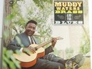 Muddy Waters 