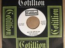 The Dynamics COTILLION 44038 M- WHITE LABEL PROMO 