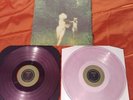 The World Is A Beautiful Place TWIABP 
