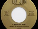 UltraRare 45 Ray Alexander Technique I WONDER WHY / I AM IN LOVE WITH YOU Listen