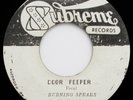 Burning Spear / Brentford All Stars DOOR PEEPER Killer ROOTS 45 Supreme Listen