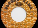 The Green Lights SOME ONE TO LOVE Rare reggae 45 on RECORD RAMA